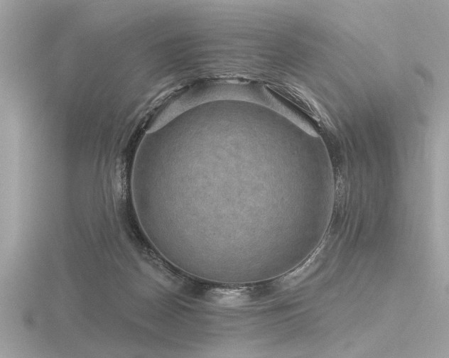 X0000116590170200912101547