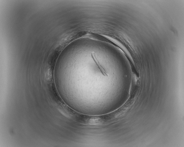 X0000116590173200912101547