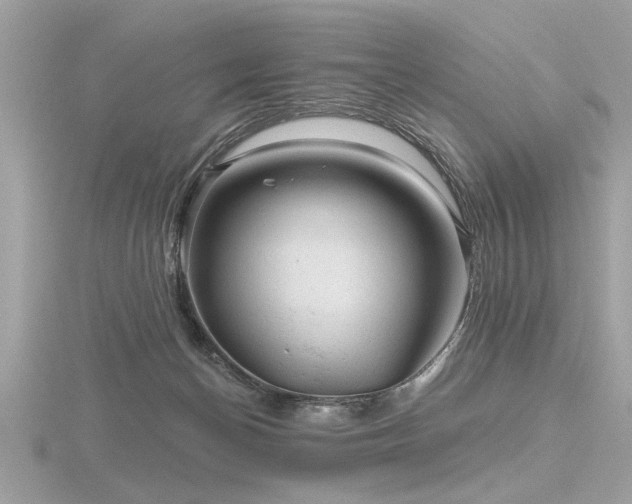 X0000116590174200912101547