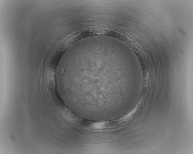 X0000116590178200912101547