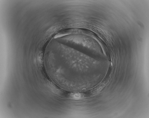 X0000116590181200912101547