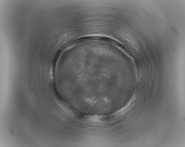 X0000116590182200912101547