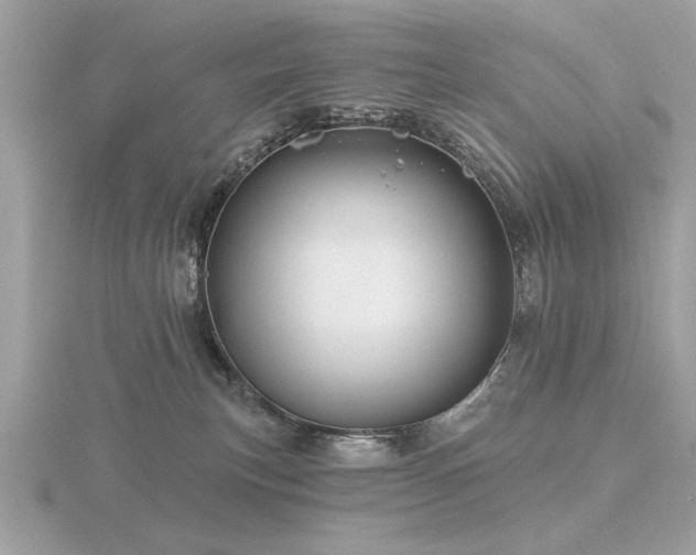 X0000116590183200912101547