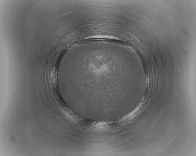 X0000116590186200912101547