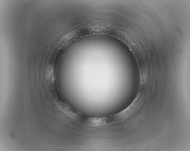 X0000116590187200912101547