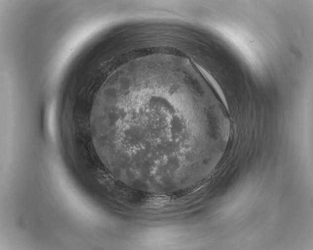 X0000116590189200912101547