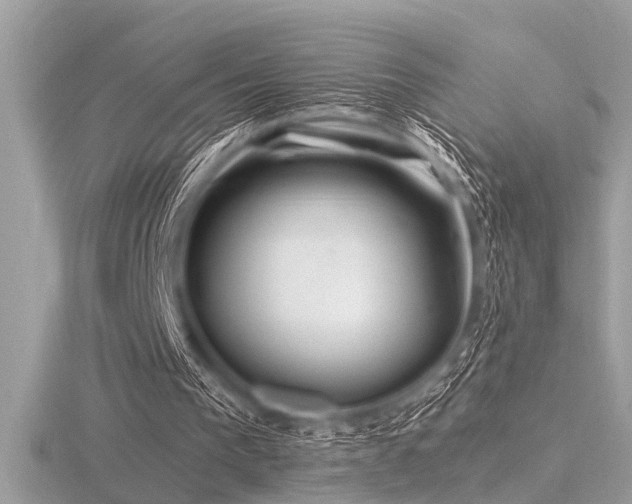 X0000116590193200912101546