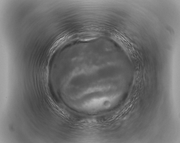 X0000116590194200912101546