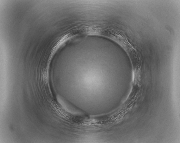 X0000116590195200912101546