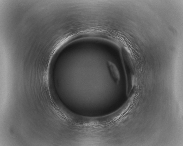 X0000116590196200912101546