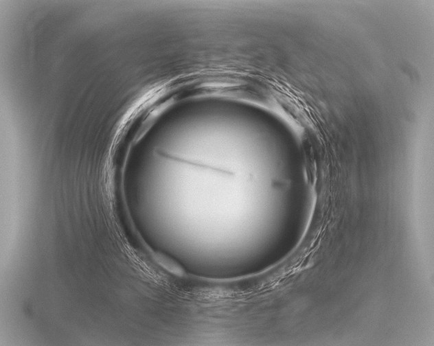 X0000116590197200912101546