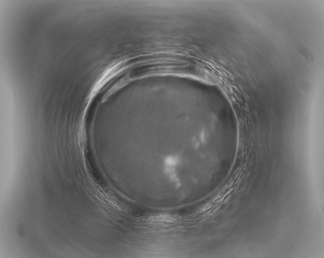 X0000116590198200912101546