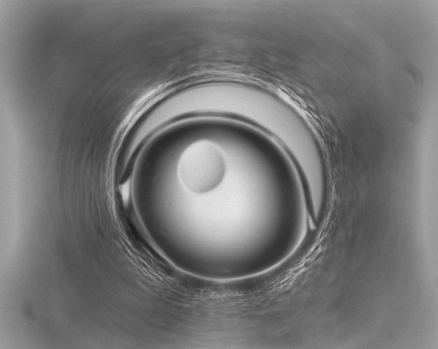 X0000116590199200912101546