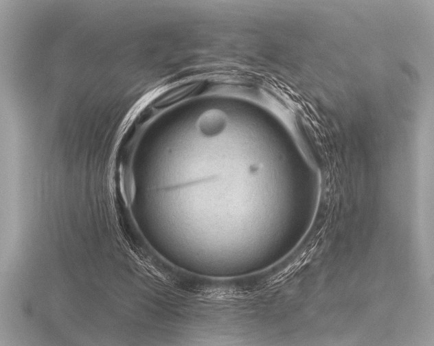 X0000116590200200912101546