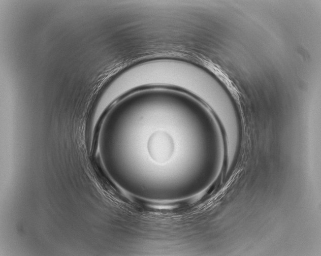 X0000116590201200912101546