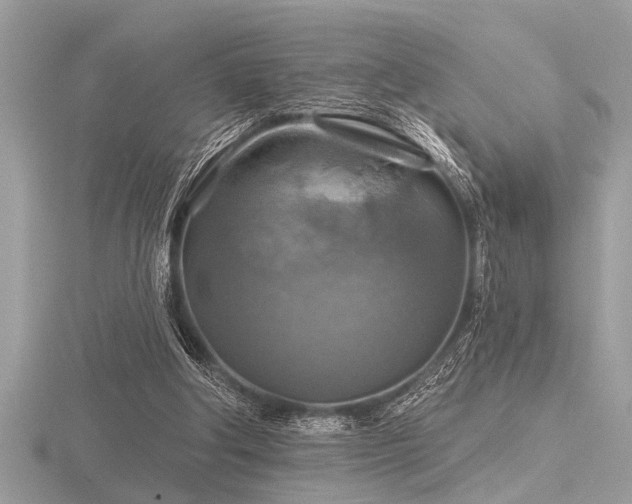 X0000116590202200912101546