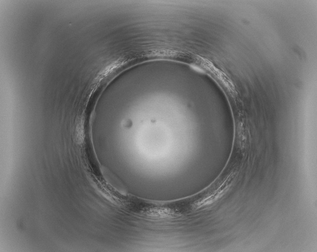 X0000116590203200912101546