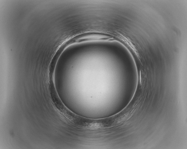 X0000116590204200912101546