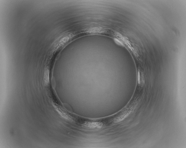 X0000116590205200912101546