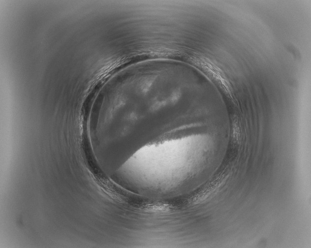 X0000116590206200912101546