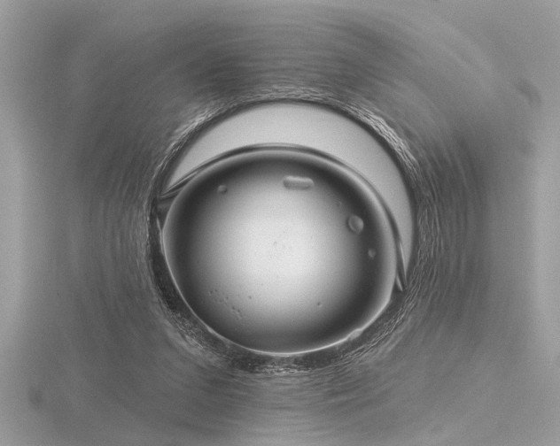 X0000116590207200912101546