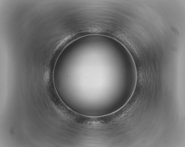 X0000116590208200912101546