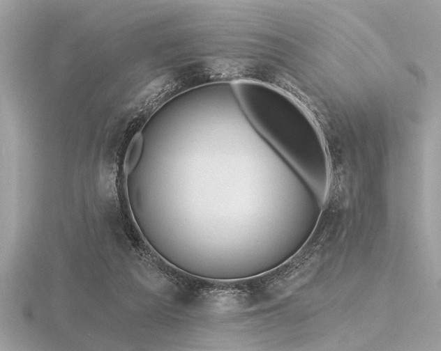 X0000116590209200912101546