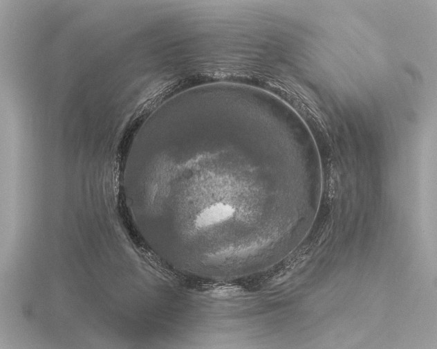 X0000116590210200912101546