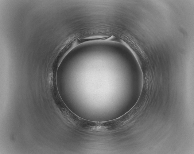 X0000116590212200912101546