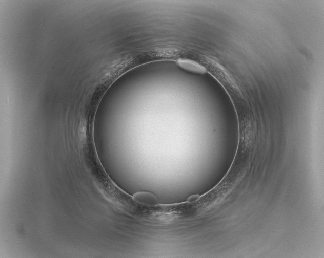 X0000116590213200912101546