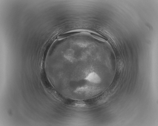 X0000116590214200912101546