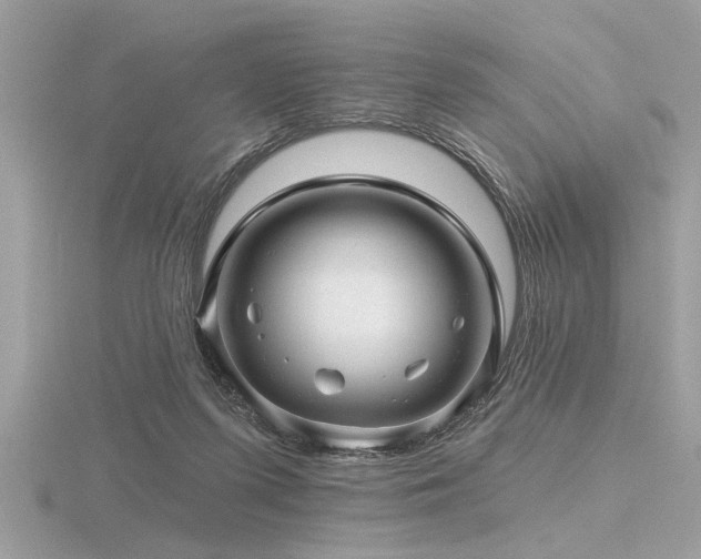 X0000116590215200912101546