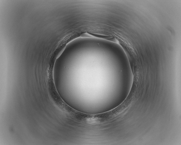 X0000116590216200912101546