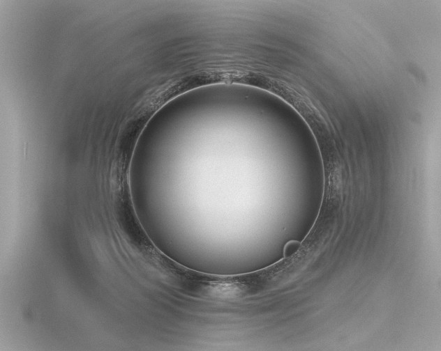 X0000116590218200912101546