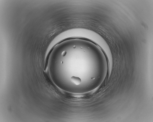 X0000116590219200912101546