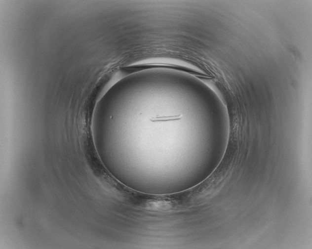 X0000116590220200912101546