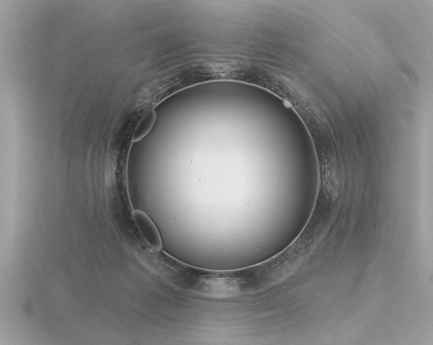 X0000116590221200912101546