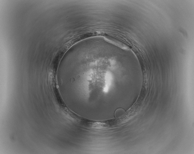 X0000116590222200912101546