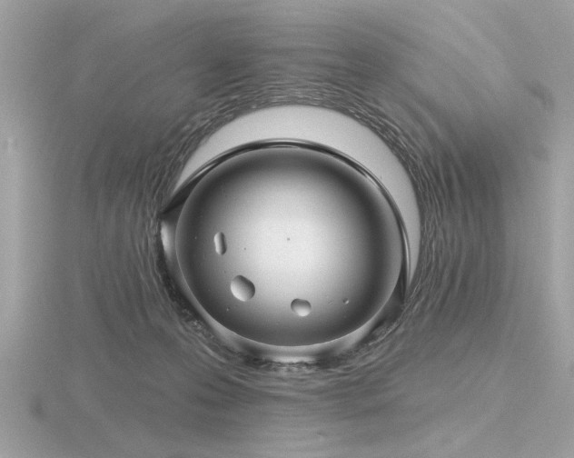 X0000116590223200912101546