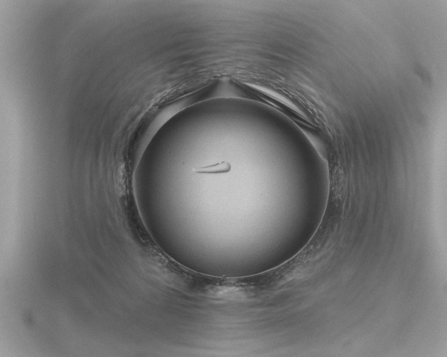 X0000116590224200912101546