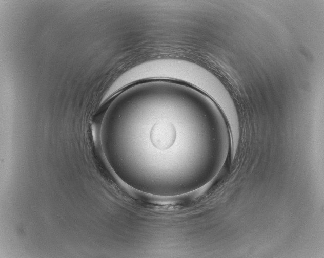 X0000116590225200912101546