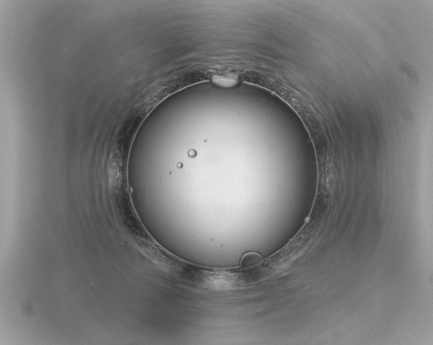 X0000116590226200912101546