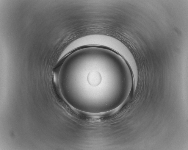 X0000116590227200912101546