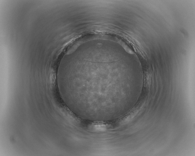 X0000116590228200912101546