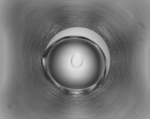 X0000116590229200912101546