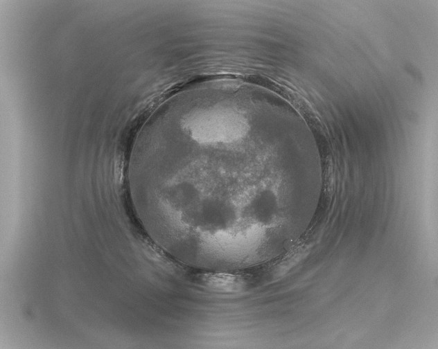 X0000116590230200912101546