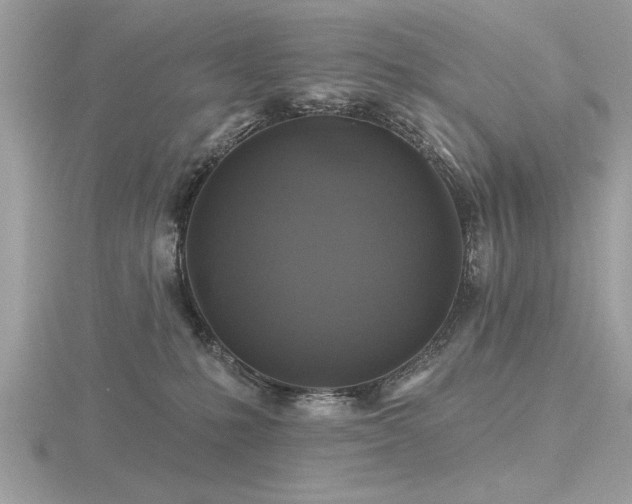 X0000116590231200912101546