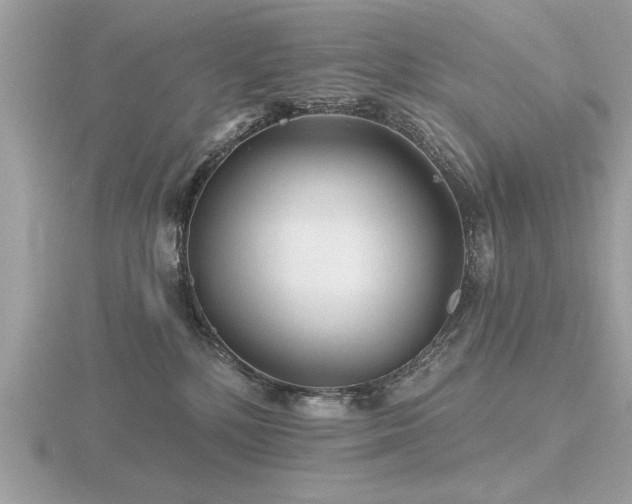 X0000116590232200912101546