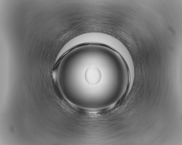 X0000116590233200912101546