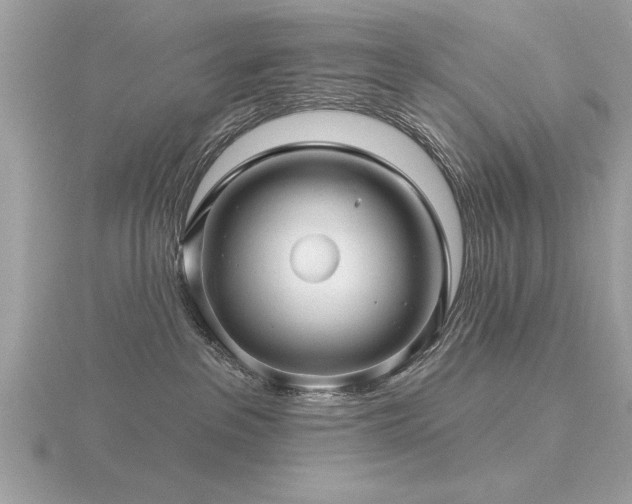 X0000116590237200912101546